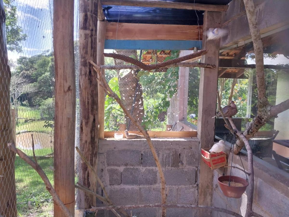 Pousada Beija Flor Extrema Eksteriør billede